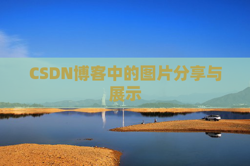 CSDN博客中的图片分享与展示